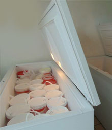 Renta de Carrito de Helados para Bodas